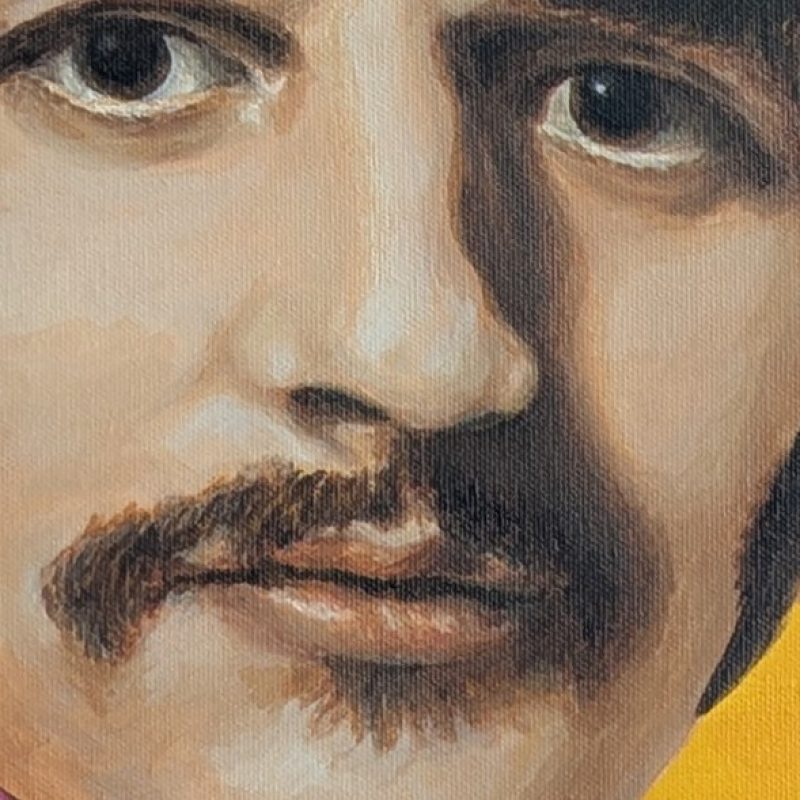 tableau Ringo Starr par Sandrine Delenne Art-sd. Détail partie centrale du visage